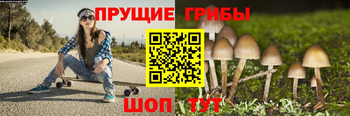 Галлюциногенные грибы Magic Shrooms  Вход с VPN  Дивногорск 